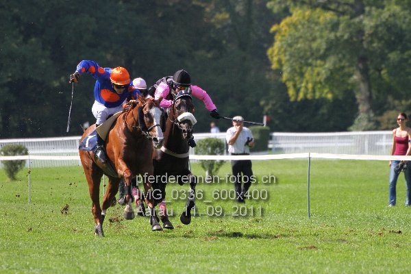 IMG 0336 600x400 prot