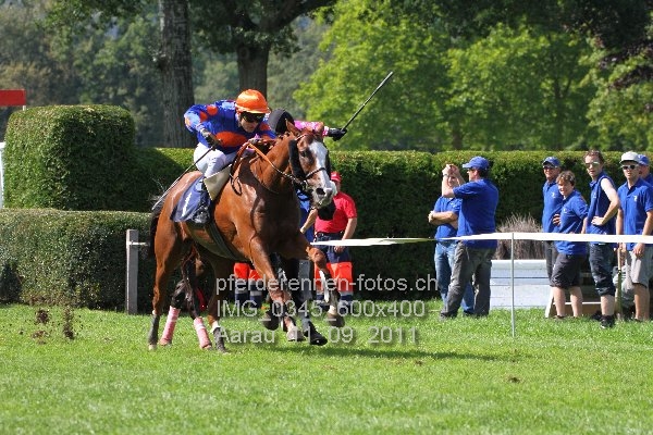IMG 0345 600x400 prot
