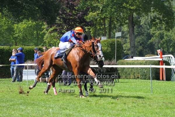 IMG 0347 600x400 prot