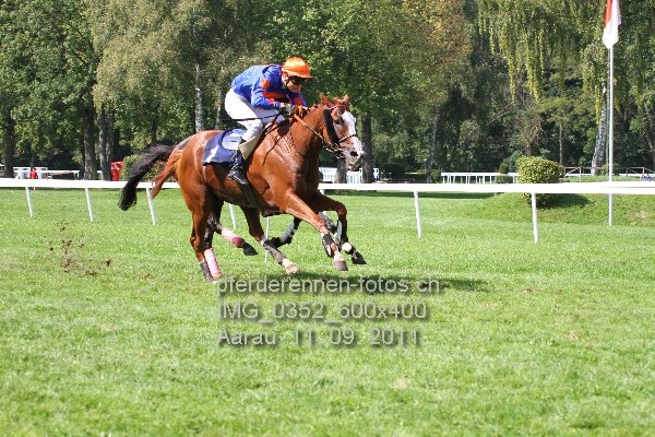 IMG 0352 600x400 prot