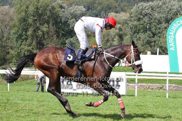 IMG 0365 600x400 prot