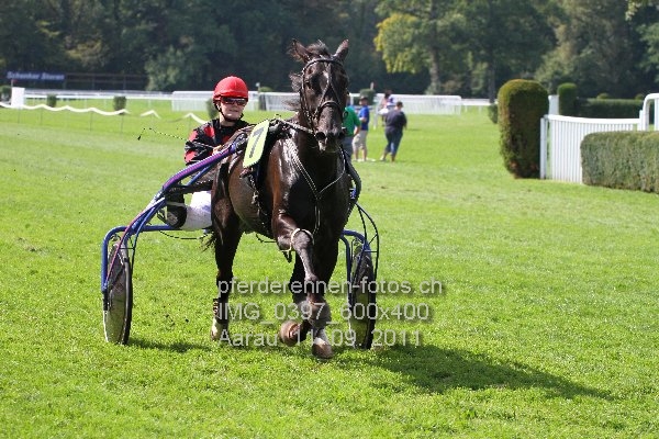 IMG 0397 600x400 prot