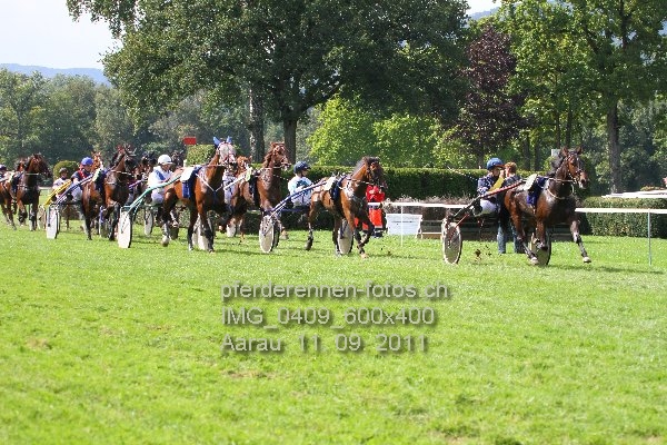 IMG 0409 600x400 prot