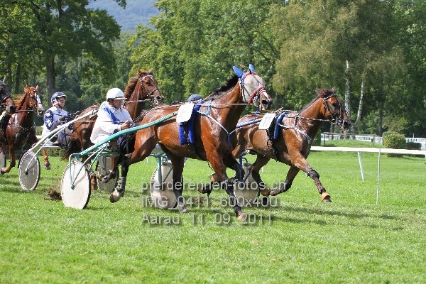 IMG 0411 600x400 prot
