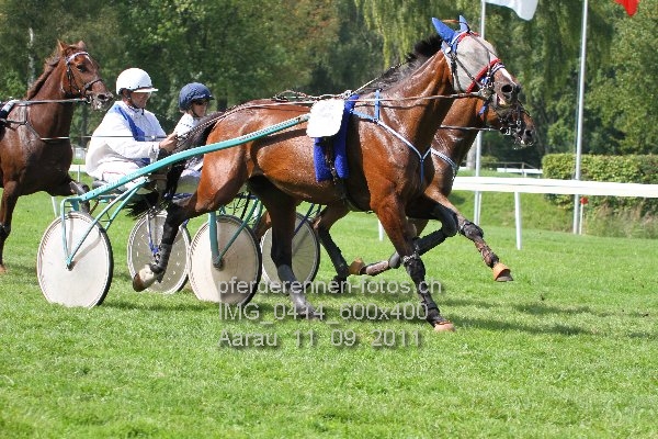 IMG 0414 600x400 prot