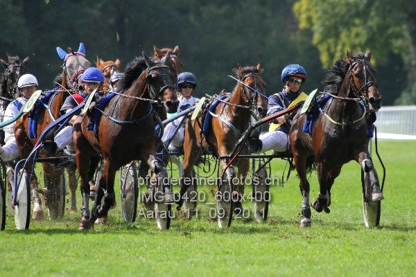 IMG 0420 600x400 prot