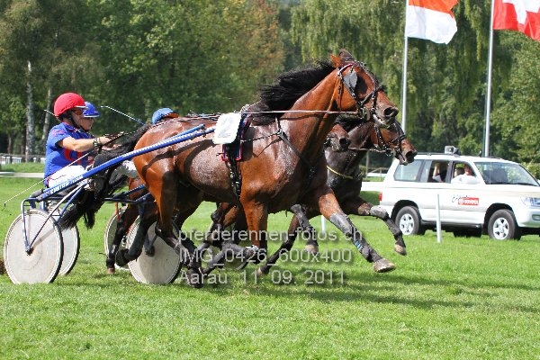 IMG 0426 600x400 prot