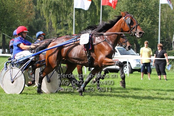 IMG 0427 600x400 prot