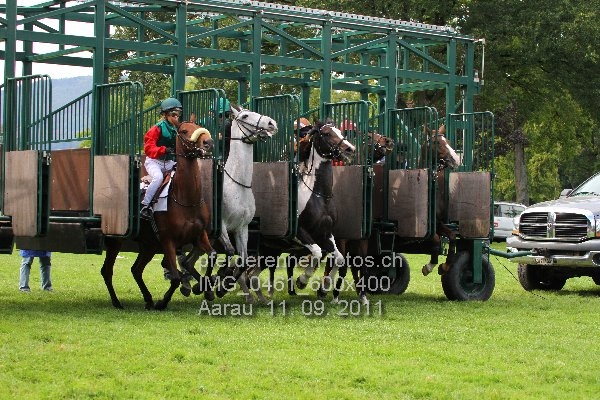 IMG 0461 600x400 prot