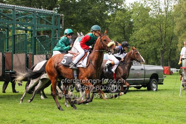IMG 0467 600x400 prot