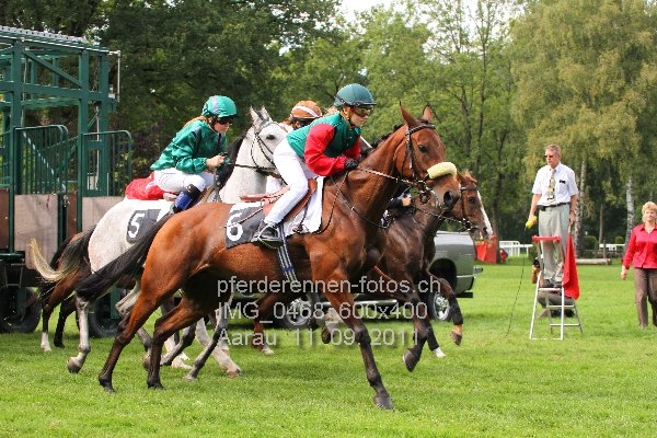 IMG 0468 600x400 prot