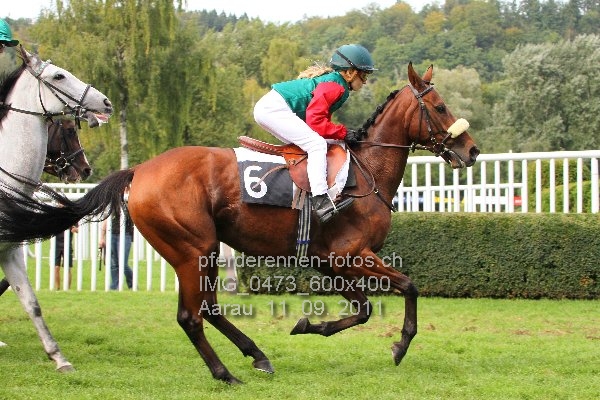 IMG 0473 600x400 prot