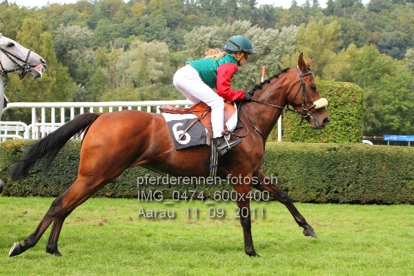 IMG 0474 600x400 prot