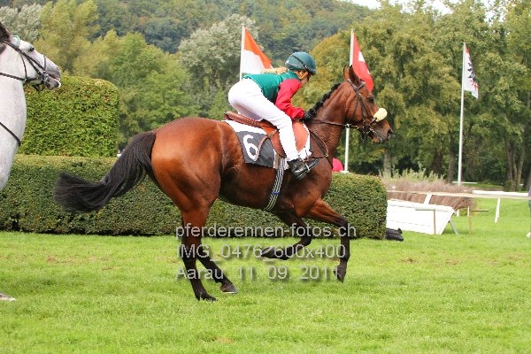 IMG 0476 600x400 prot