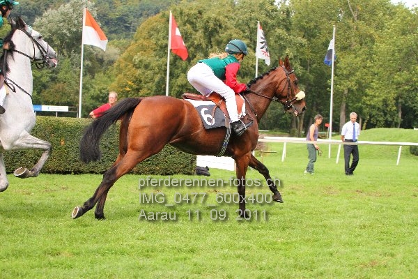 IMG 0477 600x400 prot