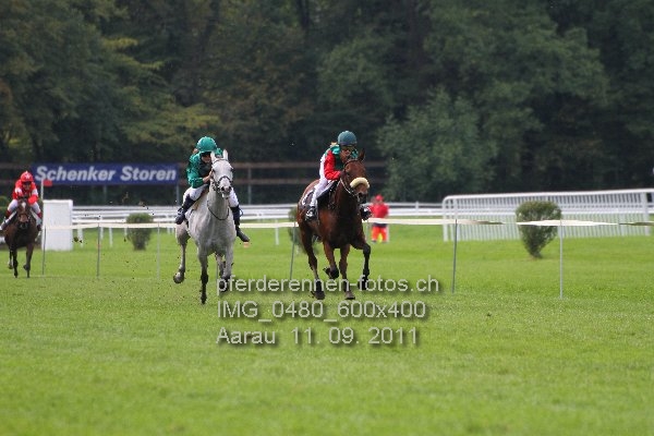 IMG 0480 600x400 prot