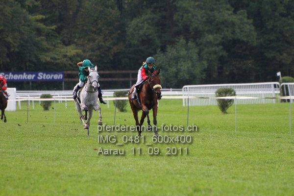 IMG 0481 600x400 prot