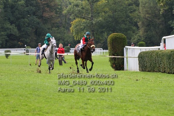 IMG 0489 600x400 prot