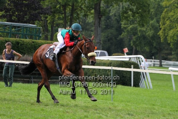 IMG 0496 600x400 prot
