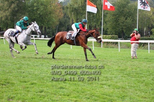 IMG 0499 600x400 prot