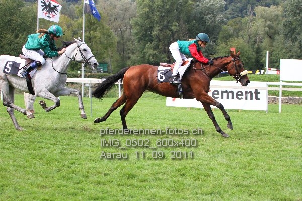 IMG 0502 600x400 prot