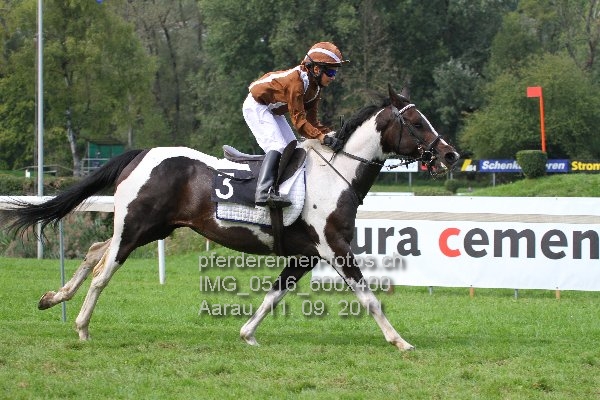 IMG 0516 600x400 prot