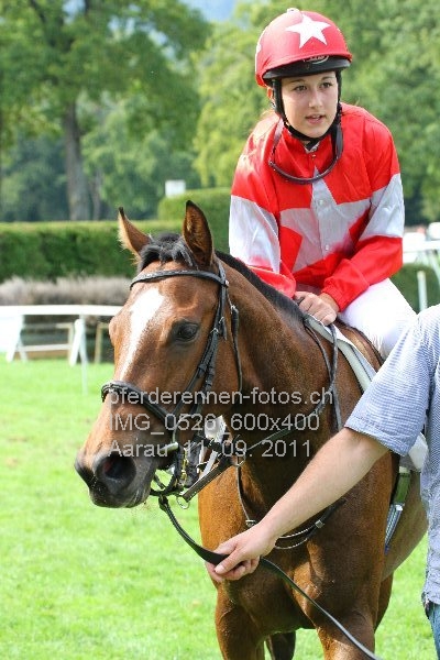 IMG 0526 600x400 prot