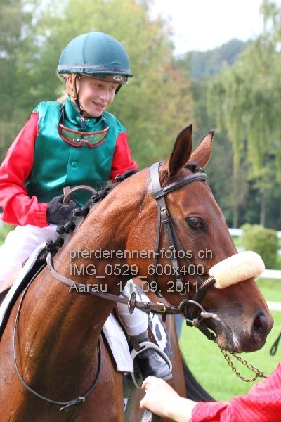 IMG 0529 600x400 prot