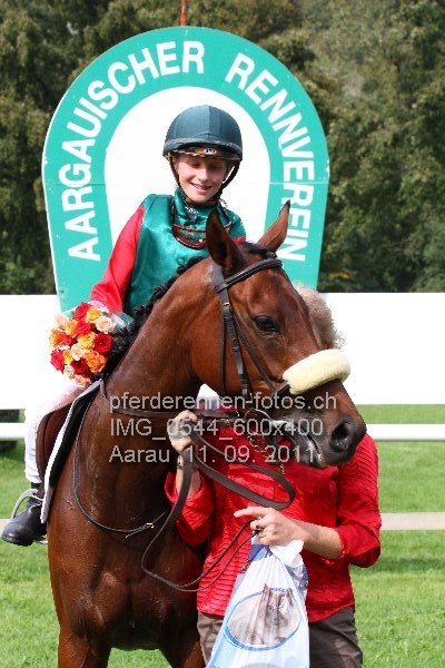 IMG 0544 600x400 prot