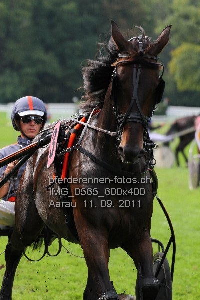 IMG 0565 600x400 prot
