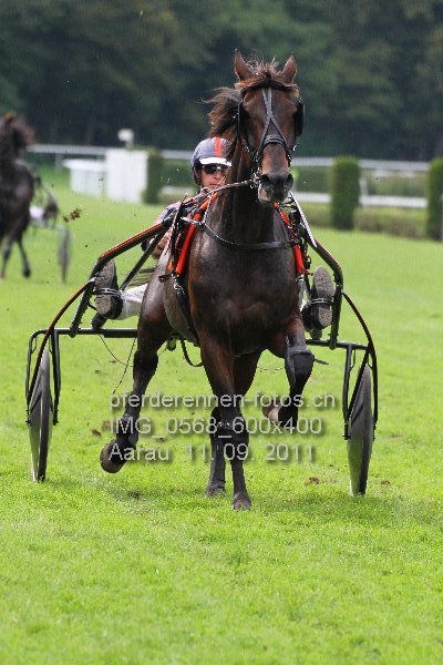 IMG 0568 600x400 prot