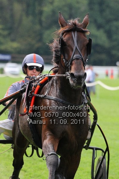 IMG 0570 600x400 prot
