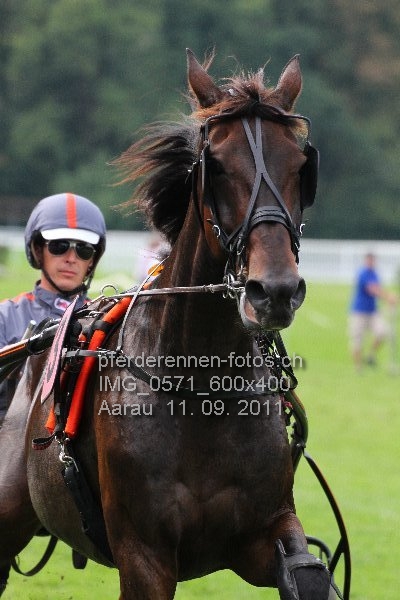 IMG 0571 600x400 prot