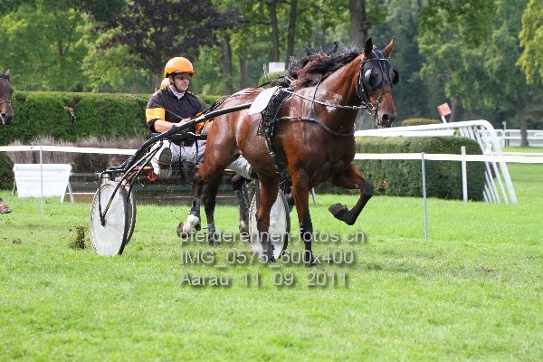IMG 0575 600x400 prot