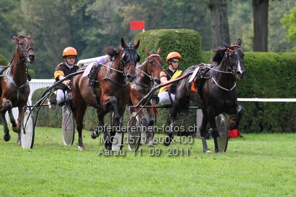 IMG 0579 600x400 prot