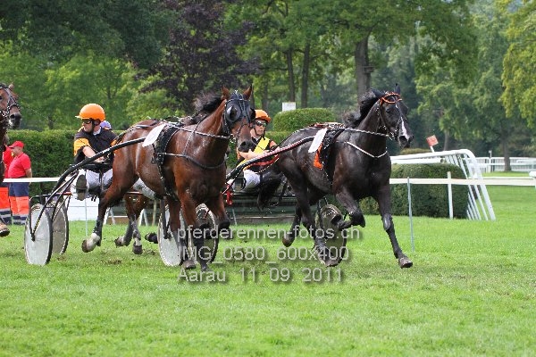 IMG 0580 600x400 prot