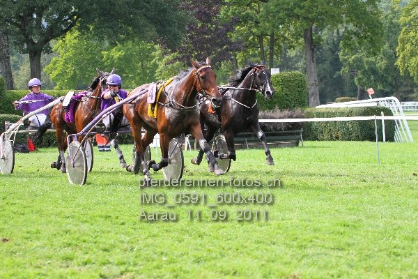 IMG 0591 600x400 prot
