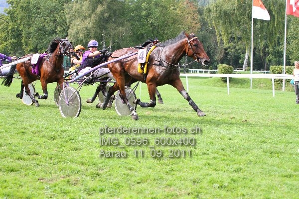 IMG 0596 600x400 prot
