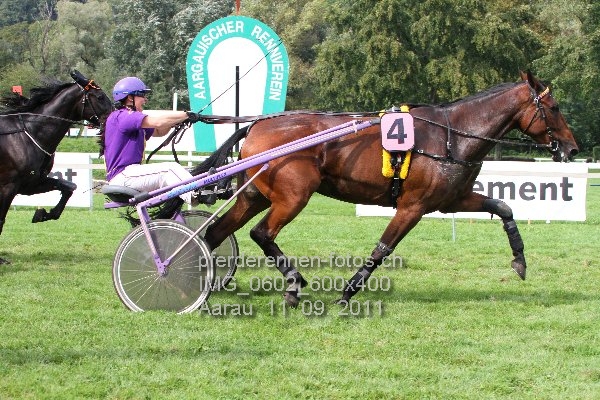 IMG 0602 600x400 prot