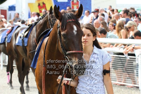 IMG 0640 600x400 prot