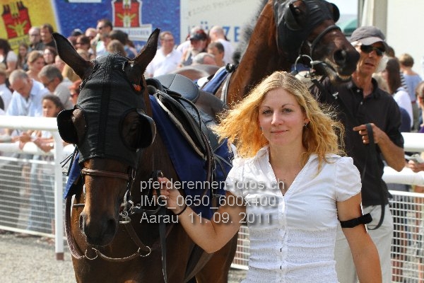 IMG 0650 600x400 prot