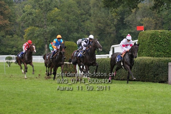 IMG 0714 600x400 prot