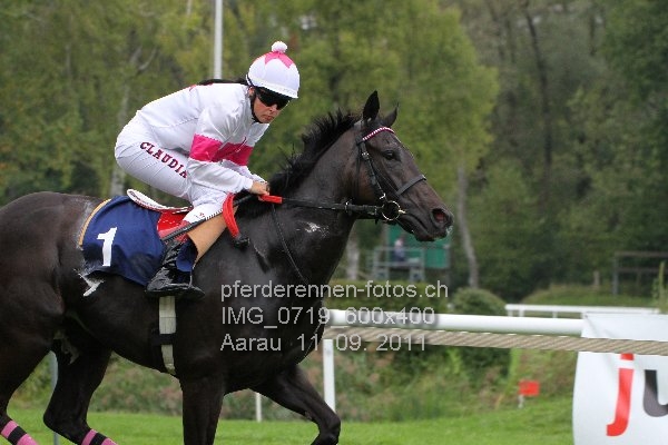 IMG 0719 600x400 prot