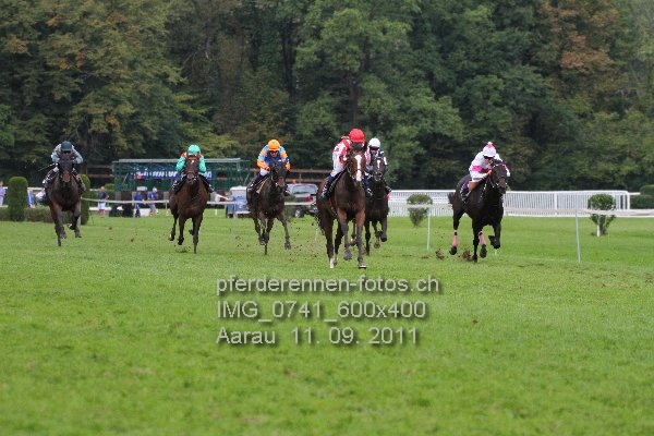 IMG 0741 600x400 prot