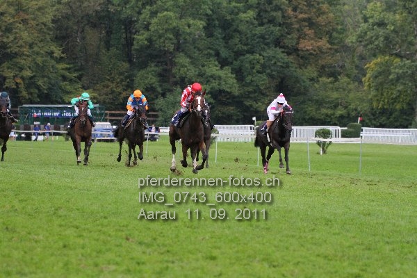 IMG 0743 600x400 prot