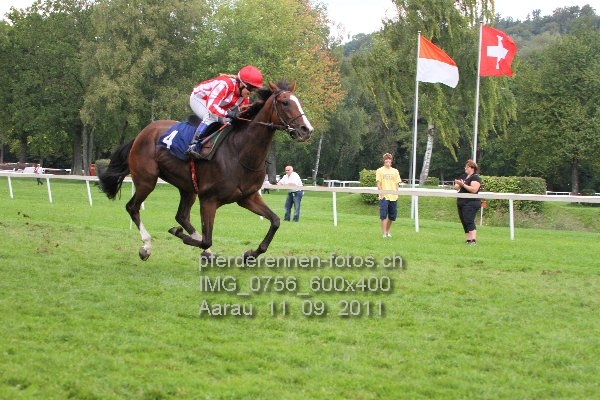 IMG 0756 600x400 prot