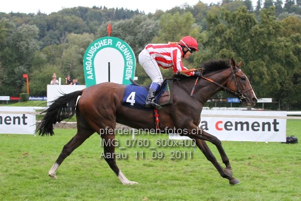 IMG 0760 600x400 prot