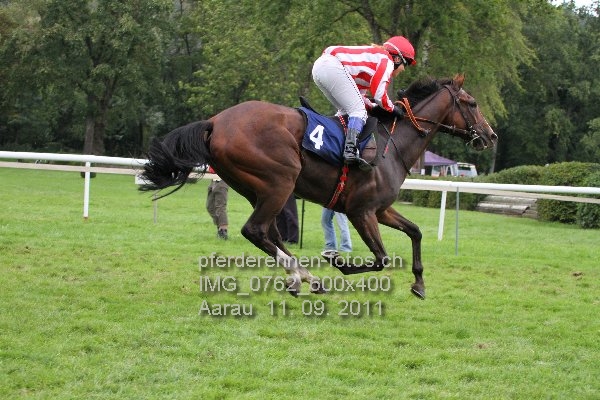 IMG 0762 600x400 prot