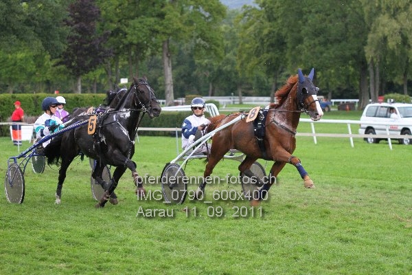 IMG 0790 600x400 prot