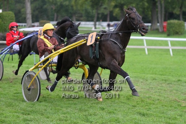 IMG 0794 600x400 prot